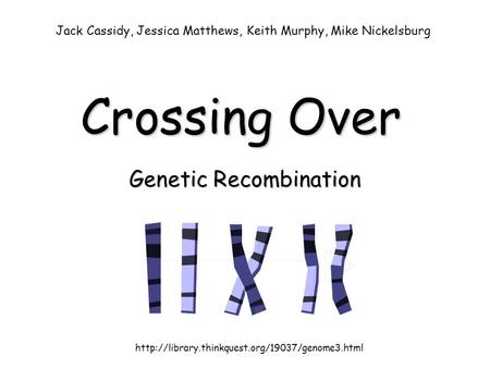 Crossing Over Genetic Recombination  Jack Cassidy, Jessica Matthews, Keith Murphy, Mike Nickelsburg.