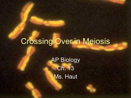 Crossing Over in Meiosis