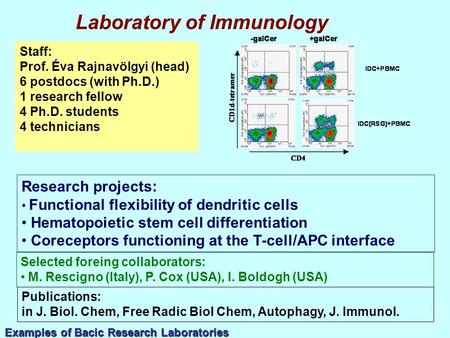 Staff: Prof. Éva Rajnavölgyi (head) 6 postdocs (with Ph.D.) 1 research fellow 4 Ph.D. students 4 technicians Research projects: Functional flexibility.