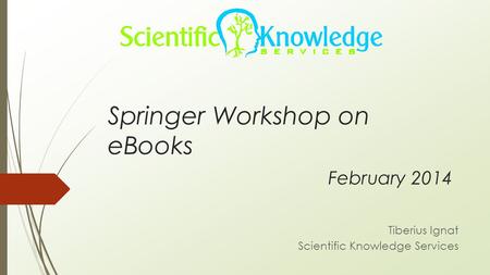 Springer Workshop on eBooks February 2014