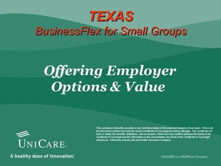 TEXAS BusinessFlex for Small Groups  Offering Employer Options & Value This summary of benefits provides a very brief description of the important features.