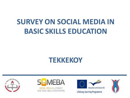 SURVEY ON SOCIAL MEDIA IN BASIC SKILLS EDUCATION TEKKEKOY.