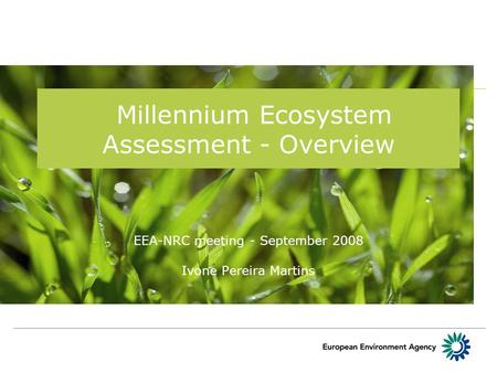 Millennium Ecosystem Assessment - Overview EEA-NRC meeting - September 2008 Ivone Pereira Martins.