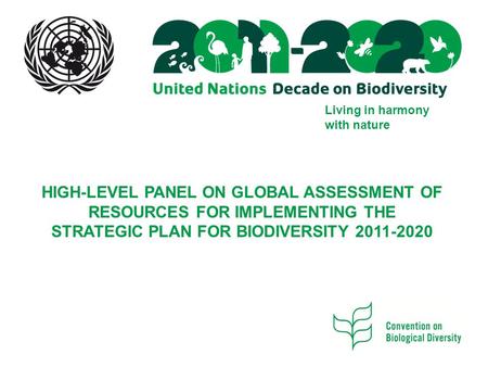 Living in harmony with nature HIGH-LEVEL PANEL ON GLOBAL ASSESSMENT OF RESOURCES FOR IMPLEMENTING THE STRATEGIC PLAN FOR BIODIVERSITY 2011-2020.