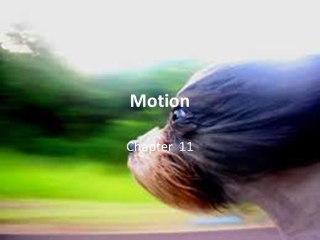 Motion Chapter 11.