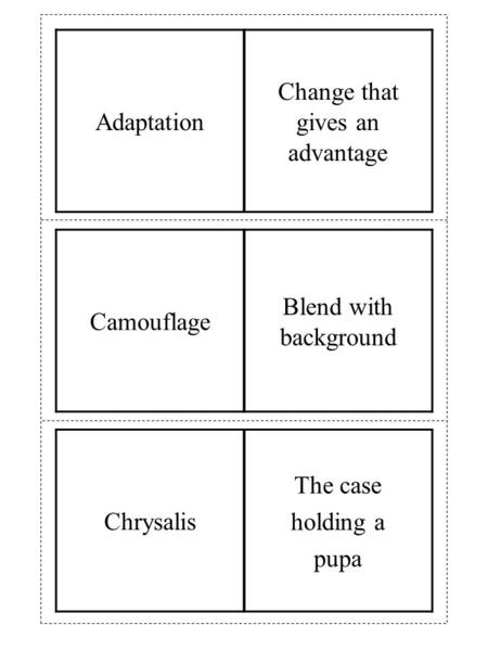 Chrysalis The case holding a pupa Camouflage Blend with background Adaptation Change that gives an advantage.