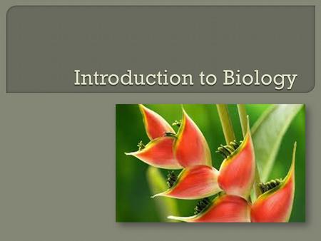 Introduction to Biology