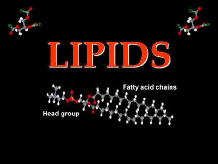 LIPIDS.