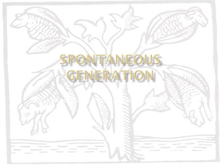 spontaneous generation