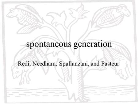 spontaneous generation