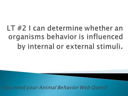 You need your Animal Behavior Web Quest!