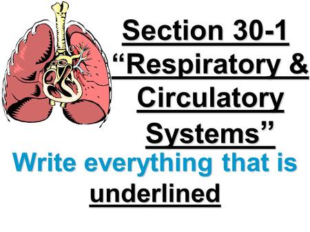 Section 30-1 “Respiratory & Circulatory Systems”