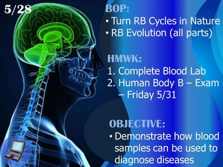 5/28 BOP: Turn RB Cycles in Nature RB Evolution (all parts) HMWK: 1.Complete Blood Lab 2.Human Body B – Exam – Friday 5/31 OBJECTIVE: Demonstrate how blood.