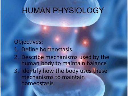 HUMAN PHYSIOLOGY Objectives: 1.Define homeostasis 2.Describe mechanisms used by the human body to maintain balance 3.Identify how the body uses these mechanisms.