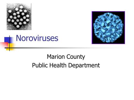 Marion County Public Health Department