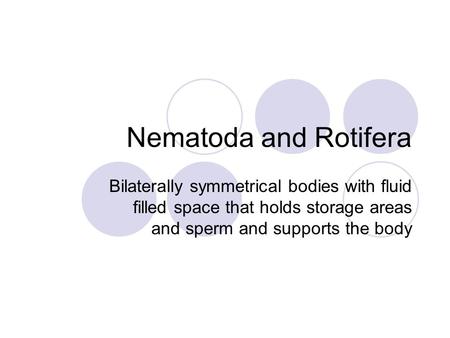 Nematoda and Rotifera Bilaterally symmetrical bodies with fluid filled space that holds storage areas and sperm and supports the body.