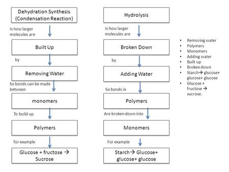 Dehydration Synthesis (Condensation Reaction) Hydrolysis