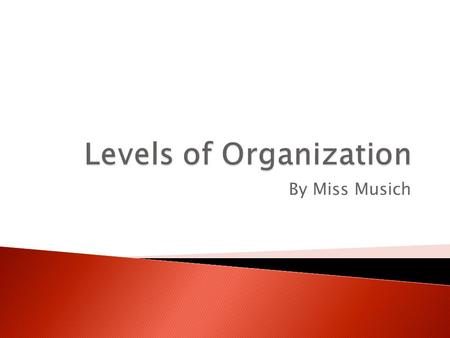 By Miss Musich.  Organize – to put something in order ◦ We organize to make something more manageable. ◦ For example, the MWMS is organized!  Students.