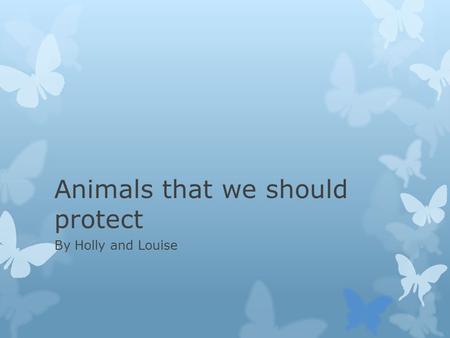 Animals that we should protect