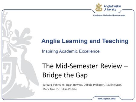 The Mid-Semester Review – Bridge the Gap Barbara Vohmann, Dean Bowyer, Debbie Philipson, Pauline Start, Mark Tree, Dr. Julian Priddle.