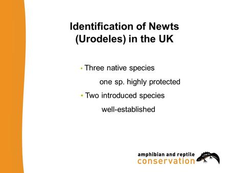 Identification of Newts (Urodeles) in the UK Three native species one sp. highly protected Two introduced species well-established.