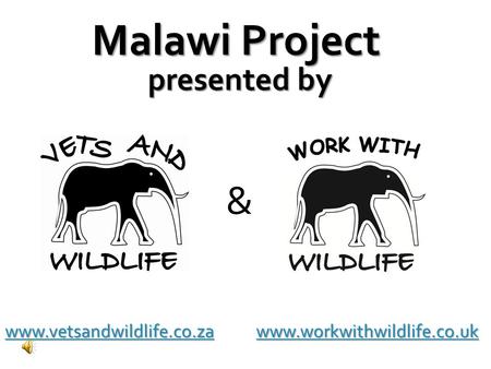 Www.vetsandwildlife.co.zawww.vetsandwildlife.co.za www.workwithwildlife.co.uk www.workwithwildlife.co.uk www.vetsandwildlife.co.za www.workwithwildlife.co.uk.