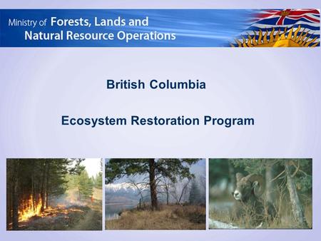 British Columbia Ecosystem Restoration Program. Al Neal, P.Ag. RFT British Columbia Senior Ecosystem Restoration Specialist Co-Chair, BC Prescribed Fire.