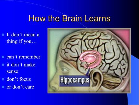 How the Brain Learns It don’t mean a thing if you… can’t remember