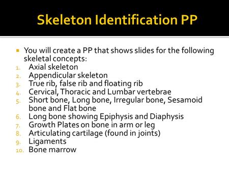  You will create a PP that shows slides for the following skeletal concepts: 1. Axial skeleton 2. Appendicular skeleton 3. True rib, false rib and floating.