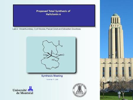 Lab A: Vincent Lindsay, Cyril Nicolas, Pascal Cérat and Sébastien Goudreau Synthesis Meeting Proposed Total Synthesis of Haliclonin A November 7 th, 2009.