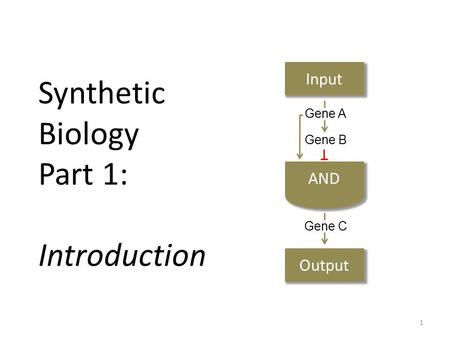 Synthetic Biology Part 1: Introduction Input Output Gene A Gene B Gene C 1.