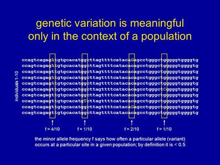 Genetic variation is meaningful only in the context of a population the minor allele frequency f says how often a particular allele (variant) occurs at.