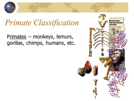 Primate Classification