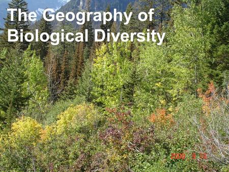 The Geography of Biological Diversity. Species-Area Curves S = species richness A = size of the sampling plot (eg. m 2 ) c and z are fitting parameters.