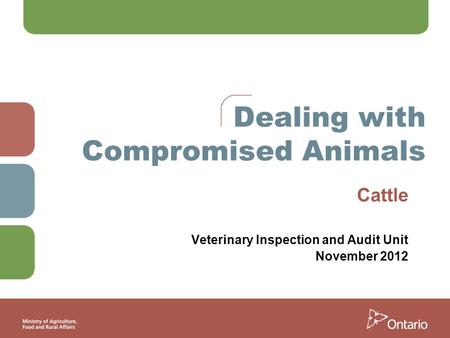 Dealing with Compromised Animals Cattle Veterinary Inspection and Audit Unit November 2012.