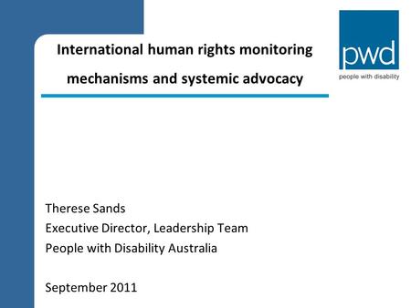 International human rights monitoring mechanisms and systemic advocacy