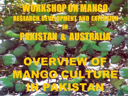 WORKSHOP ON MANGO RESEARCH, DEVELOPMENT AND EXTENSION IN PAKISTAN & AUSTRALIA OVERVIEW OF MANGO CULTURE IN PAKISTAN.