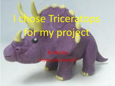 I chose Triceratops for my project