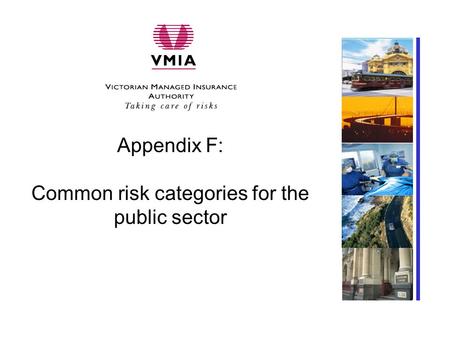 Appendix F: Common risk categories for the public sector Insert client-specific photo here.