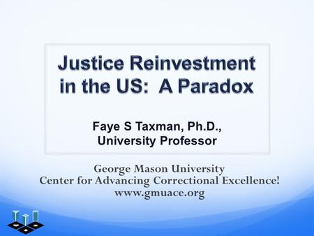 Faye S Taxman, Ph.D., University Professor George Mason University Center for Advancing Correctional Excellence! www.gmuace.org.