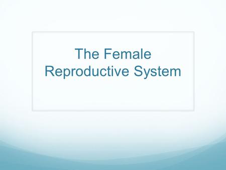 The Female Reproductive System