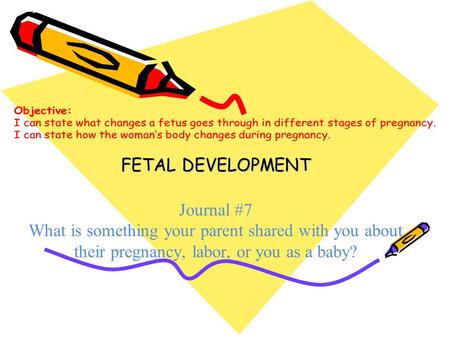 FETAL DEVELOPMENT Journal #7