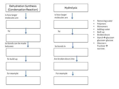 Dehydration Synthesis (Condensation Reaction) Hydrolysis