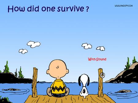 How did one survive ? With Sound How did one survive growing up in the 70’s, 80’s and 90’s ?