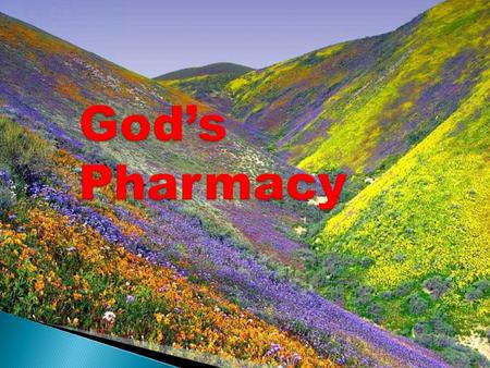 God’s Pharmacy It's been said that God first separated the salt water from the fresh, made dry land, planted a garden, made animals and fish... All before.