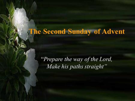 The Second Sunday of Advent “Prepare the way of the Lord, Make his paths straight”