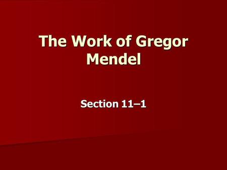 The Work of Gregor Mendel