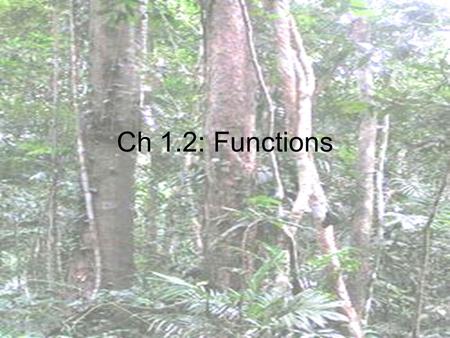 Ch 1.2: Functions. DEFINITIONS Relation: a set of ordered pairs or 2 quantities related by a rule Function: a relation in which an element of the domain.