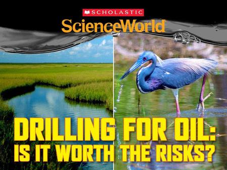 On April 20, 2010, an explosion on the Deepwater Horizon oil platform in the Gulf of Mexico led to the worst oil spill in United States history. An.