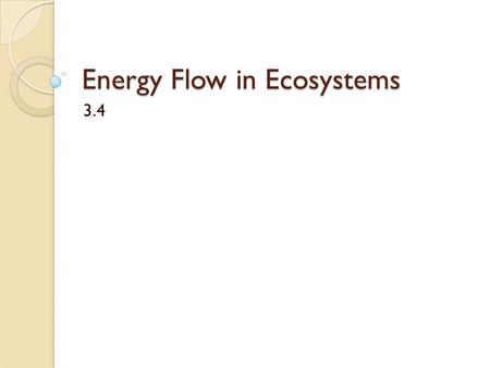 Energy Flow in Ecosystems